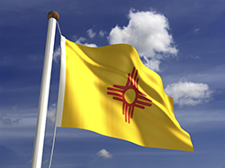 New Mexico - State Flag